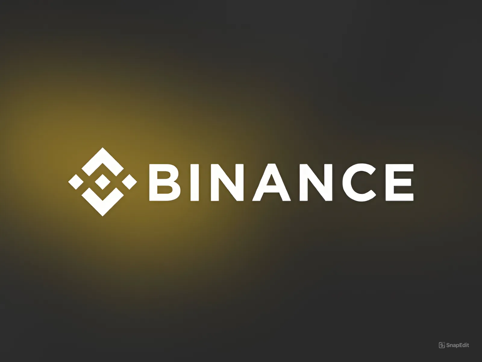 Binance Holdings Limited